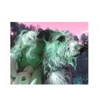 Ersteller:in Lotti Profilbild