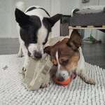 Ersteller:in Michelle Profilbild