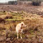 Ersteller:in Carina Profilbild