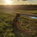 Ersteller:in Rebekka Profilbild