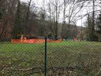 Hundeauslaufgebiet-Kräherwald / Ziegelwiese-Bild