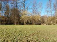 Hundeauslaufgebiet-Buchenbachtal bei Wolfsöden-Bild