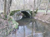 Hundeauslaufgebiet-Buchenbachtal bei Wolfsöden-Bild