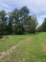 Hundeauslaufgebiet-Auwiesen-Bild