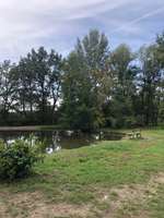 Hundeauslaufgebiet-Auwiesen-Bild