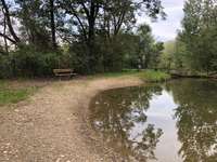 Hundeauslaufgebiet-Auwiesen-Bild