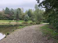 Hundeauslaufgebiet-Auwiesen-Bild