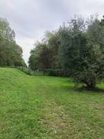 Hundeauslaufgebiet-Auwiesen-Bild