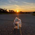 Ersteller:in Leonie Profilbild