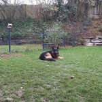 Ersteller:in Dagmar Profilbild