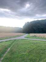 Hundeauslaufgebiet-Adenauerweiher-Bild