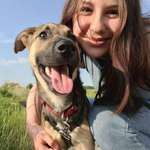 Ersteller:in Darleen Profilbild