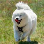 Ersteller:in Jenny Profilbild