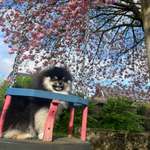 Ersteller:in Johanna Profilbild