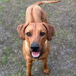 Ersteller:in Kerstin Profilbild