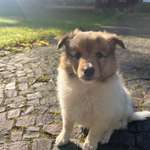 Ersteller:in Stella Profilbild