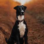 Ersteller:in Juliana Profilbild