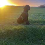 Ersteller:in SvenundSwen Profilbild