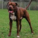 Ersteller:in Giuseppe Profilbild