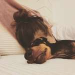 Ersteller:in Stefanie Profilbild