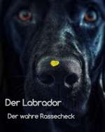 Rassecheck Labrador-Beitrag-Bild