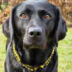 Verkaufen durch Angst-Beitrag-Bild