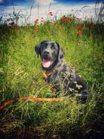 Die 5 Minuten Regel-Beitrag-Bild