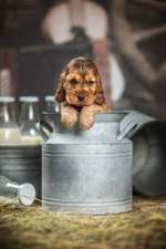 121. Fotochallenge-Beitrag-Bild