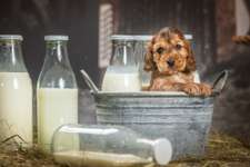 121. Fotochallenge-Beitrag-Bild