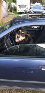 Das beste grinsefoto-Beitrag-Bild