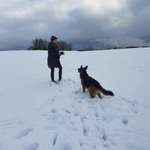 Ersteller:in Anika Profilbild