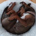 Ersteller:in M Profilbild