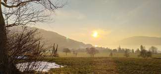 Hundeauslaufgebiet-Rittmeisterweg/Höhenweg-Bild