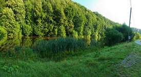 Hundeauslaufgebiet-Zschopau Aue-Bild