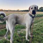 Ersteller:in Toni Profilbild