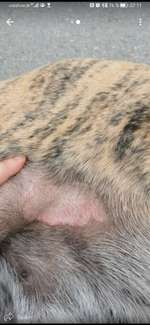 Kahle Stelle-Beitrag-Bild