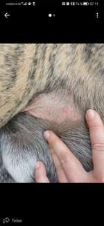 Kahle Stelle-Beitrag-Bild