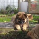 Ersteller:in Elisa Profilbild