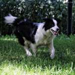 Ersteller:in I. Profilbild