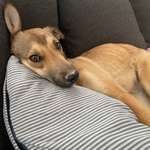 Ersteller:in Andrea Profilbild