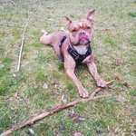 Ersteller:in Kathi Profilbild