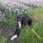 Ersteller:in Sandra Profilbild