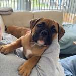 Ersteller:in Alexandra Profilbild