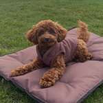 Ersteller:in Stefanie Profilbild