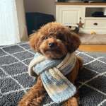 Ersteller:in Stefanie Profilbild