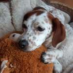 Ersteller:in Ruby Profilbild