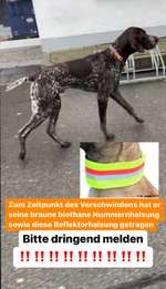 Suchmeldung-Panos-Bild