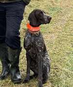 Suchmeldung-Panos-Bild