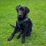 Ersteller:in Cindy Profilbild