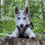 Ersteller:in Marischka Profilbild